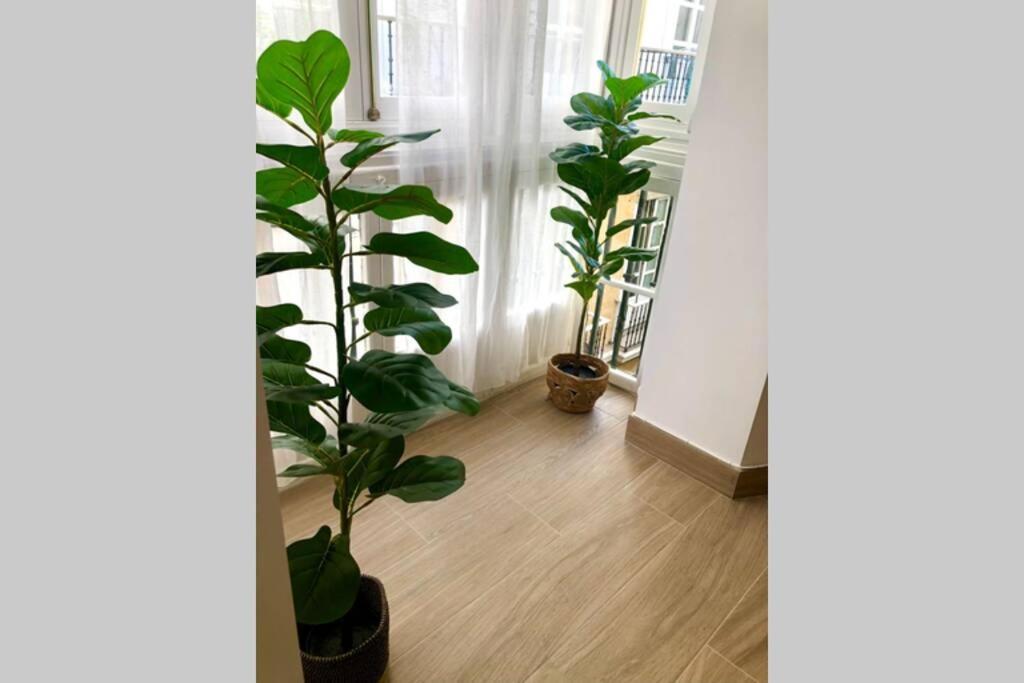 Gatu Premium Villa Libertad, Preferente Mayores De 25 Anos Y Familias Cadiz Bagian luar foto