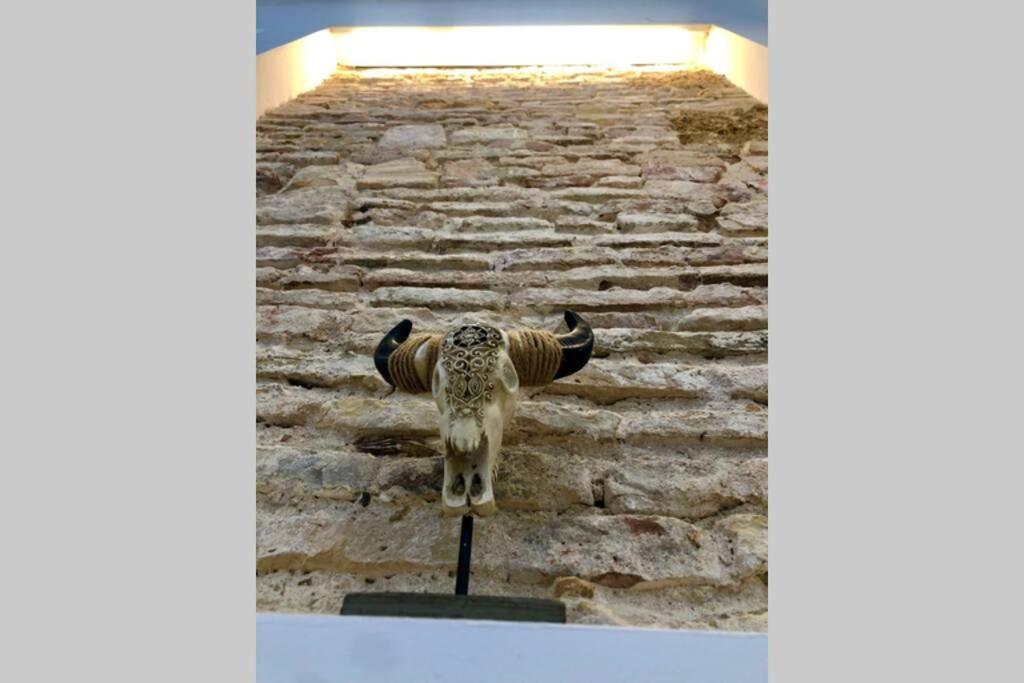 Gatu Premium Villa Libertad, Preferente Mayores De 25 Anos Y Familias Cadiz Bagian luar foto